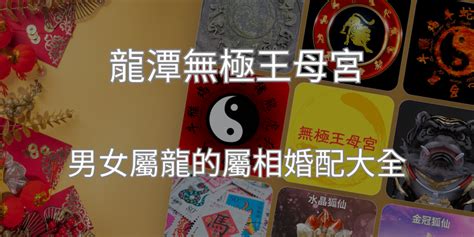 龍男龍女|屬龍的屬相婚配表詳解 